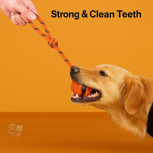 Tug Ball on Solid Rope – Durable Play Toy for Small & Medium Dogs
